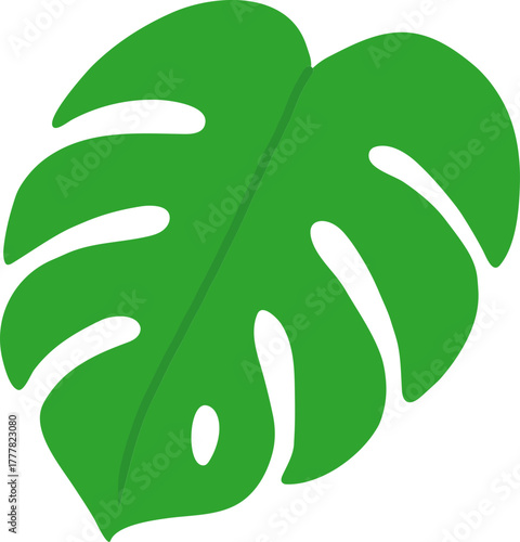 Monstera Deliciosa Leaf and Swiss Cheese Plant Tropical Foliage Vector Icons Collection