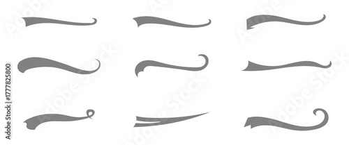 texting tails swirl swash stroke design curl typographic illustration.