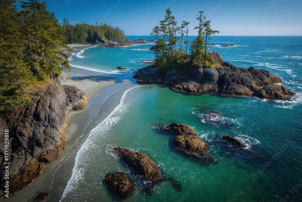 Obraz premium Long Beach, Vancouver Island: Exploring the Spectacular Beauty of Pacific Rim National Park Reserve