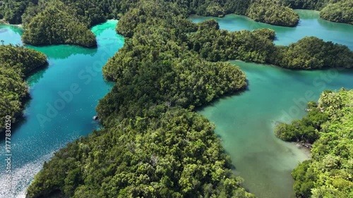 Raja Ampat. Indonesia. Aerial view of lush tropical islands and turquoise lagoons in showcasing pristine nature and coral-rich waters.	