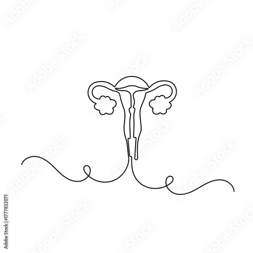 Womens uterus  icon   continuous one line drawing of outline vector illustration