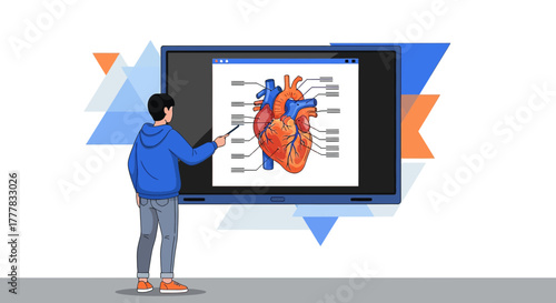 Illustrative depiction of a student explaining the anatomy of the human heart diagram on a screen