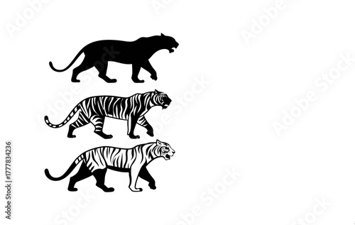Tiger Evolution Silhouette Vector Set