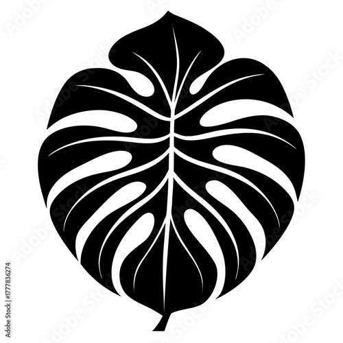 Stylized black monstera leaf silhouette