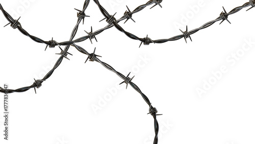 Obraz na płótnie barbed wire without background