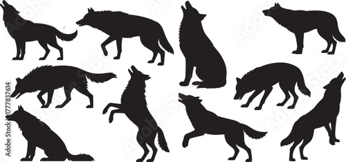 Wolf silhouette set various poses , walking and sitting wolves, wild animal vector illustration