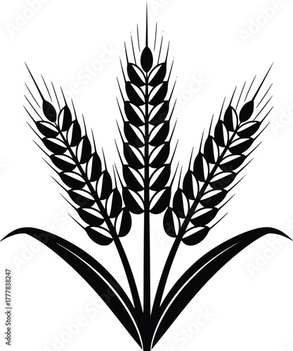 Black and White Vector Illustration of Wheat Stalks and Leaves
