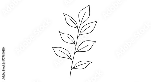 Vector  a delicate sprig with several leaves arranged along its stem in a simple line drawing style