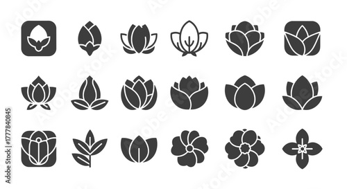 Vector  collection of stylized floral and plant icons in various stages of bloom and growth forms