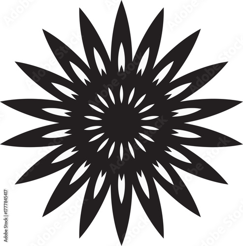 black and white abstract flower
