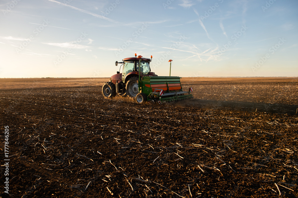 Fototapeta premium Farmer with tractor seeding in sunset