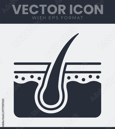 Hair follicle and skin layers structure icon dermatology, beauty, health, and medical concept illustration