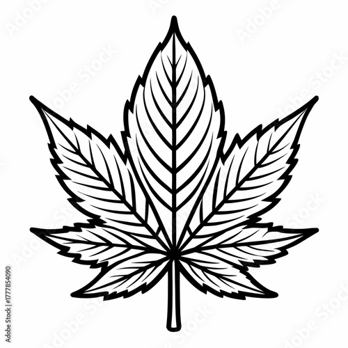 A black and white line drawing of a cannabis leaf with distinct veins and serrated edges, isolated on a white background.