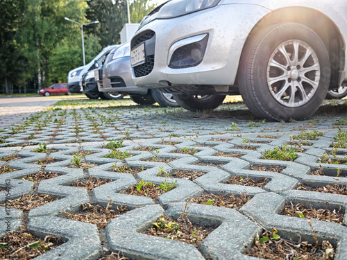 Parking lot with green growth between paving stones on a sunny day