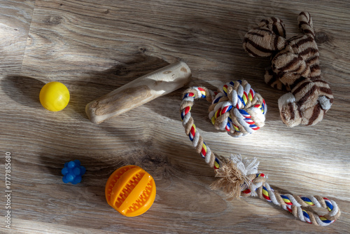 Pet toys on the floor