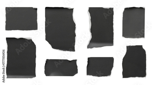 Wallpaper Mural Collection of torn black paper pieces with rough edges . Isolated on transparent background, png Torontodigital.ca
