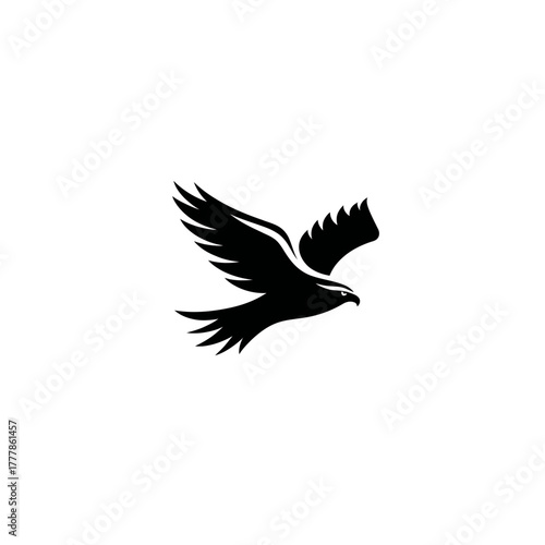 Majestic flying eagle or hawk silhouette, a generic bird of prey soaring, isolated black vector graphic design element.