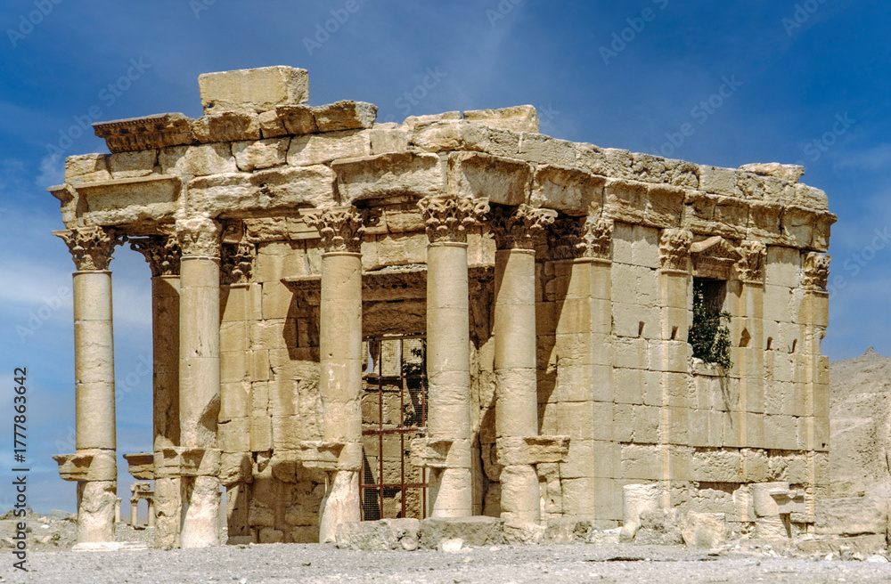 Obraz premium ancient city of Palmyra