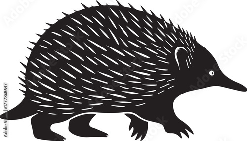 Distinctive echidna silhouette profile native australian spiny mammal wildlife