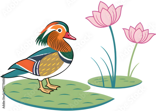 Colorful mandarin duck standing on a lily pad with lotus flowers isolated on transparent background