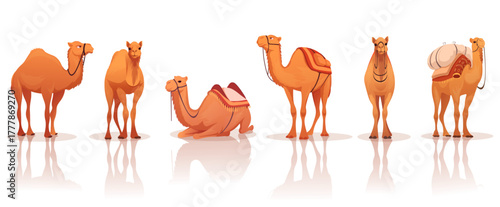 Group of camels in different poses with saddles and cargo, cartoon style on white background. Concept of desert animals and transportation. Vector illustration