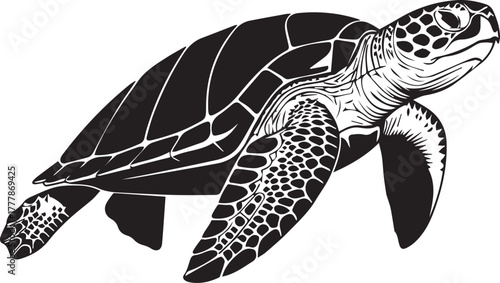 Detailed silhouette of a sea turtle swimming gracefully underwater marine wildlife