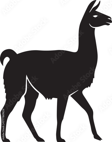 Black silhouette of a llama standing proudly with a graceful stance
