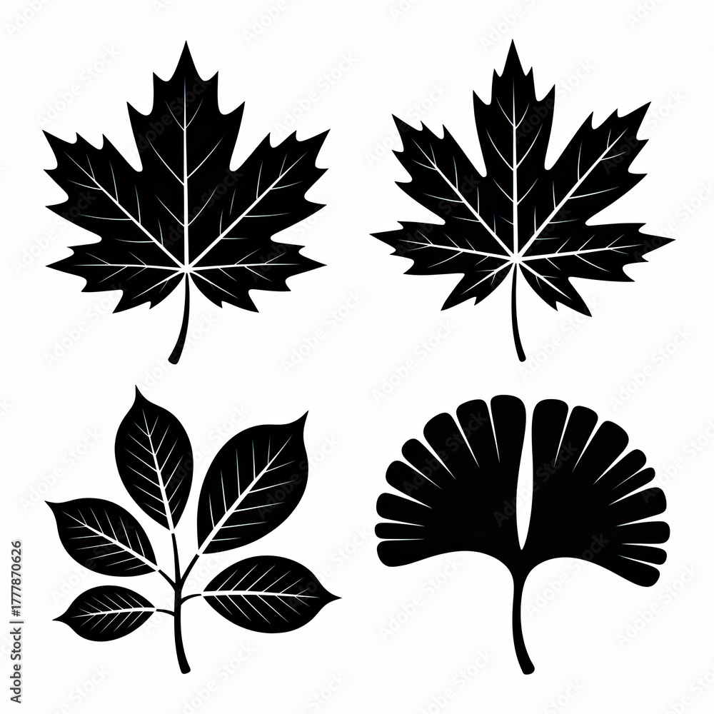 Fototapeta premium Four stylized black leaf silhouettes including a maple leaf, a horse chestnut leaf, a rowan leaf, and a ginkgo biloba leaf, all isolated on a white background.