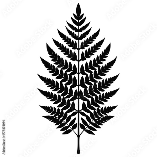 A striking black silhouette of a fern frond, showcasing intricate leaf patterns against a clean white backdrop.