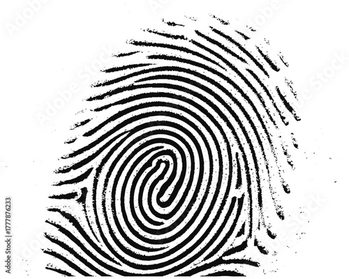 Vector black fingerprint background. Detailed fingerprint on grunge background symbolizing identity verification.