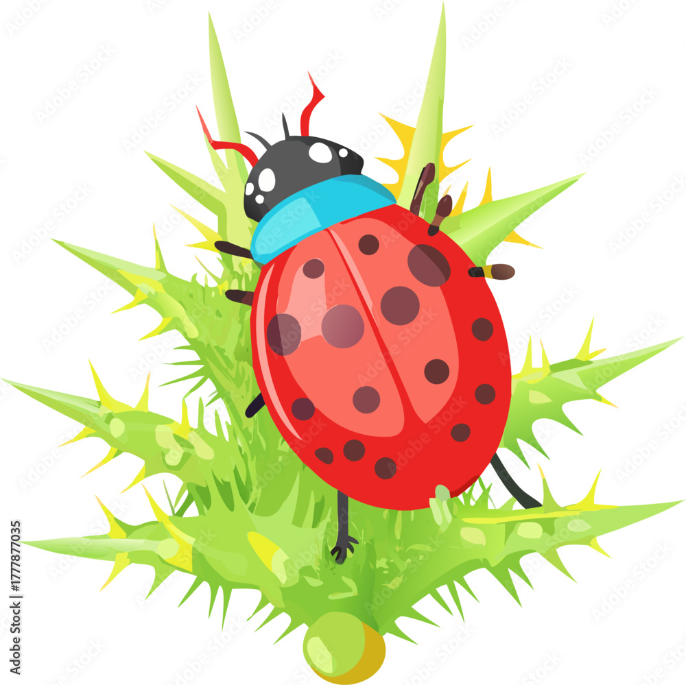 Obraz premium ladybug on green leaf