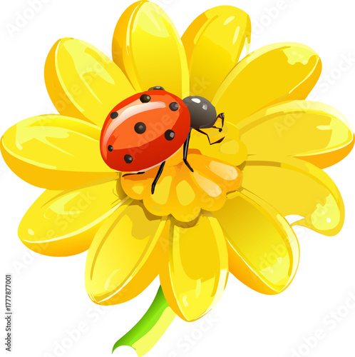 ladybug on flower