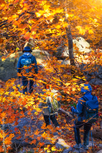 Autumn scenery and changing leaves at Bukhansan Mountain in Seoul, South Korea.
Hiking in a Korean national park: Bukhansan National Park, Seoul, South Korea.