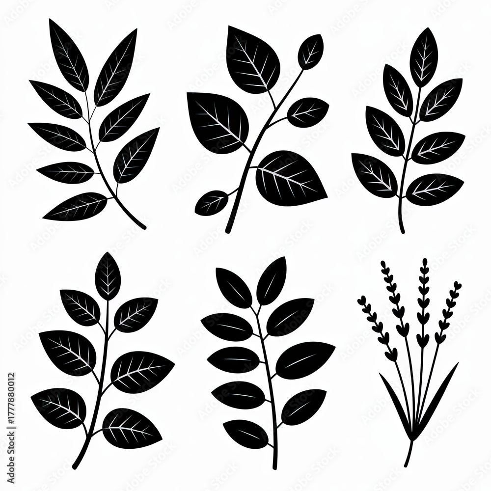 Fototapeta premium Set of six black botanical illustrations of leaves and sprigs, isolated on white background.