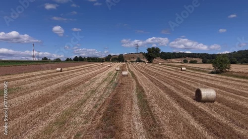 harvested field with hay bales under a blue sky, farmland bordered by trees.