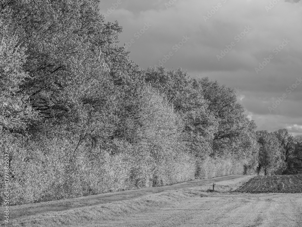 Obraz premium Herbststimmung im westlichen Münsterland