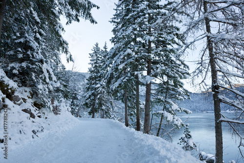 Snowy winter road in a mountain forest. Winter landscape.