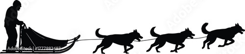 Black silhouette of a person driving a dog sled with three dogs, dog sled, sled dogs, huskies, arctic, winter, snow, cold, wilderness, expedition, travel, transportation, dogs, canine, animal, person,
