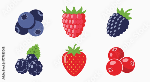 Delicious fresh summer berries collection colorful icons set blueberry raspberry blackberry strawberry cranberry vector illustration flat design fruit food healthy organic