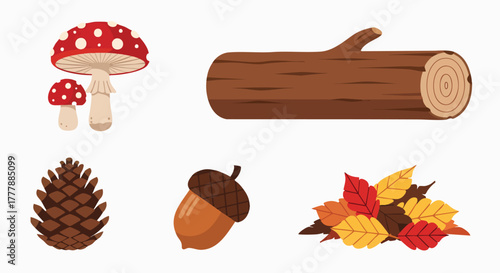 Cute autumn forest elements collection natural objects vector illustration flat design fall season nature woodland set mushroom log pinecone acorn leaves