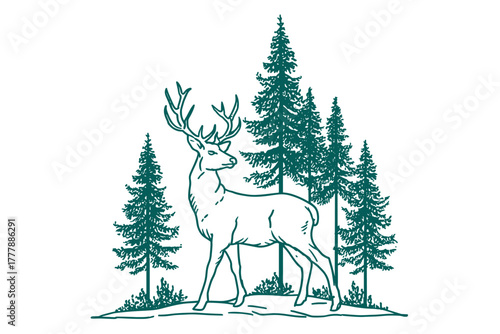 Elegant deer standing among tall evergreen trees in a serene landscape