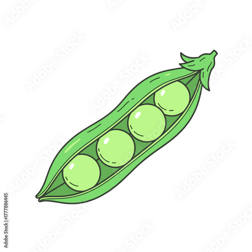 Pod of green peas illustration with peas, simple design, healthy snack, copy space