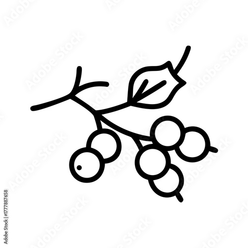 A sprig of vibrant berries, , evoking the essence of natures bounty and autumnal charm, perfect for adding a touch of organic beauty to designs and illustrations