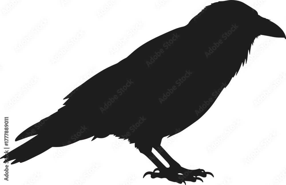Obraz premium Black silhouette of a raven bird perched calmly, minimalist vector design on white background, perfect for logo, art, and tattoo inspiration.