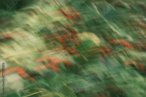 A blurry image of green leaves and red flowers
