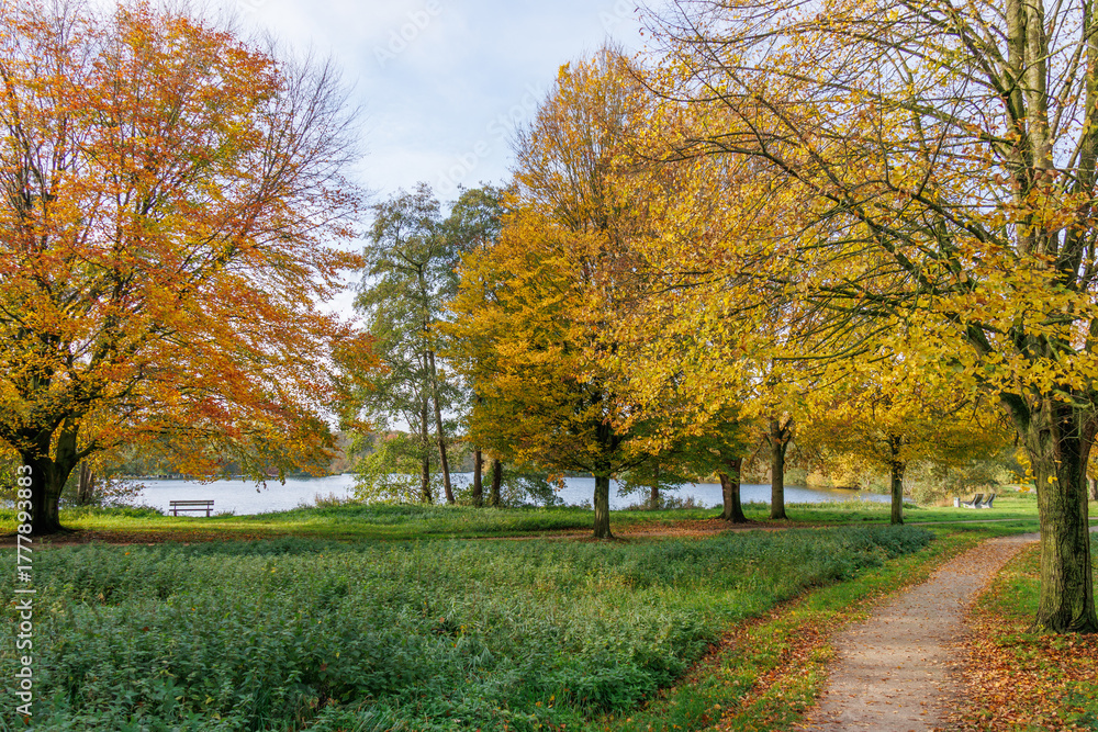 Naklejka premium Herbst am Pröbstingsee in Borken