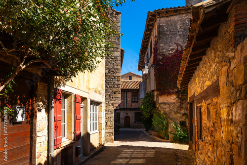 Fototapeta Naklejka Na Ścianę i Meble -  A street in the medieval village of Puycelsi, in the Tarn department, Occitanie region, France