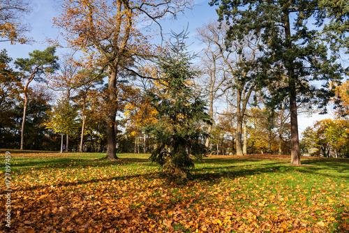 Rochusberg, November 2025