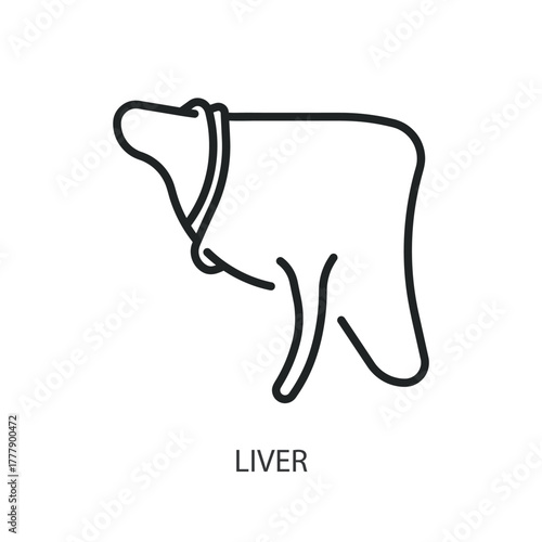 Liver thin line icons. Original vector illustration.