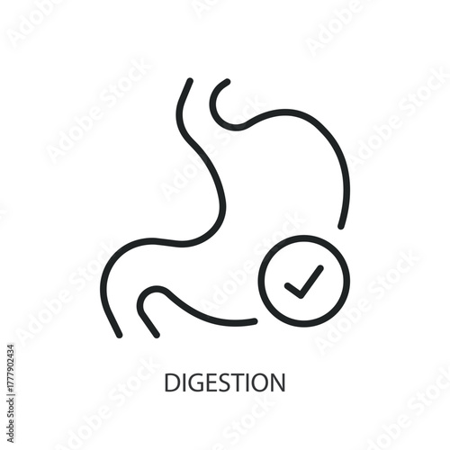 Digestion thin line icons. Original vector illustration.